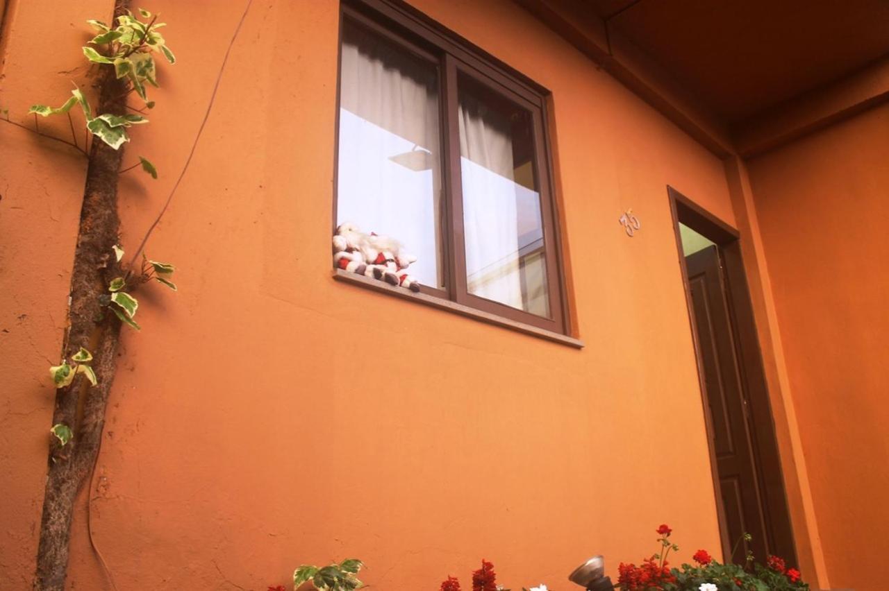 Residencial Dom Celeste Canela Zimmer foto